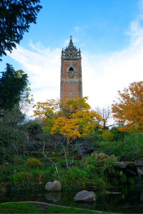 Curso de Inglés para adultos