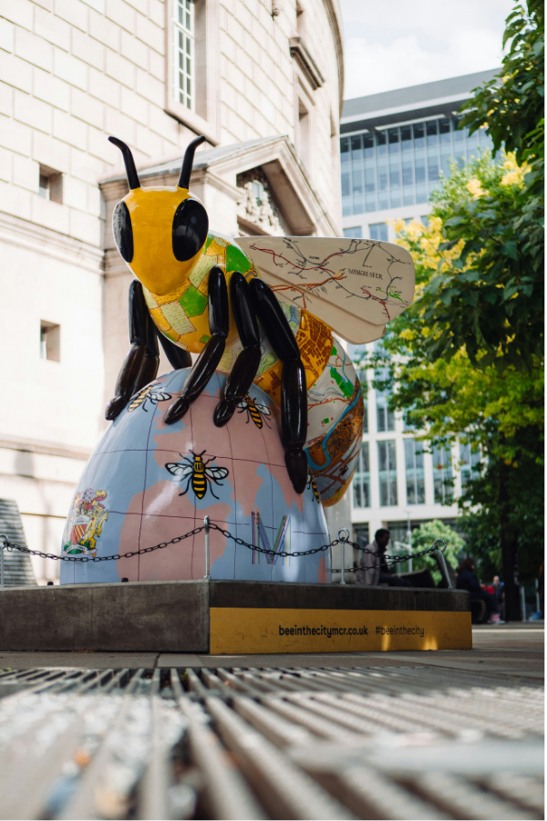 curso ingles para adultos