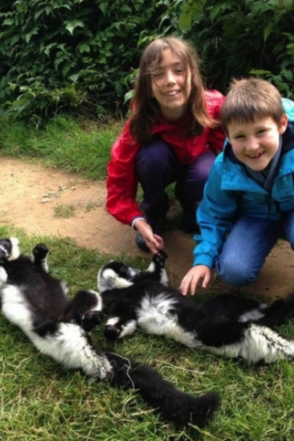 Safari & Fun en Inglaterra