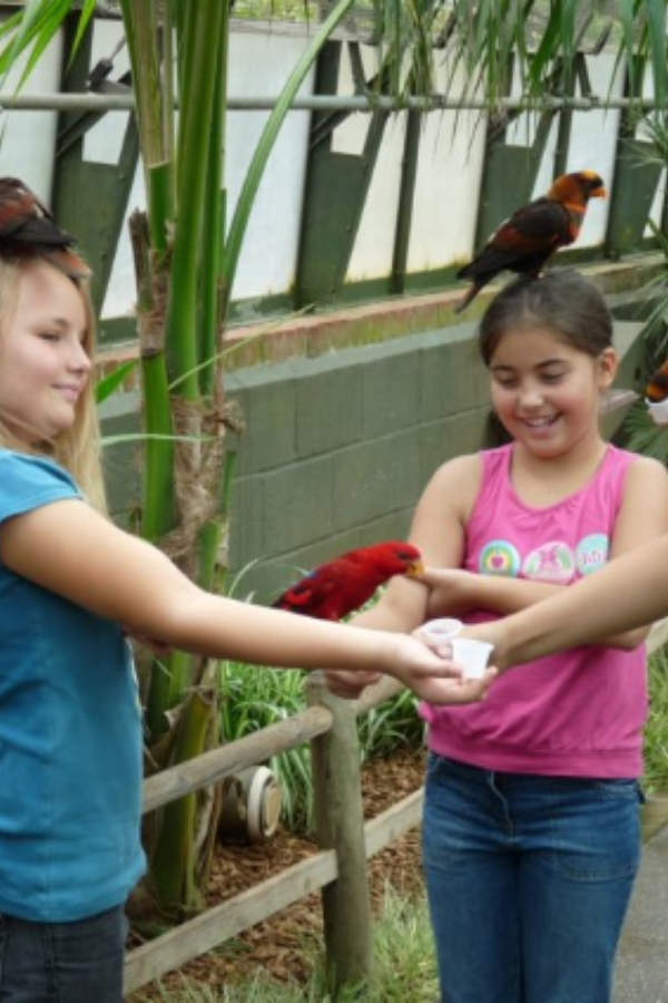 Safari & Fun en Inglaterra - Imagen 3