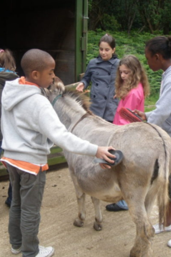 Safari & Fun en Inglaterra - Imagen 4