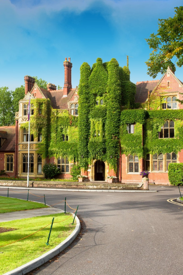 Multiactividad en Surrey