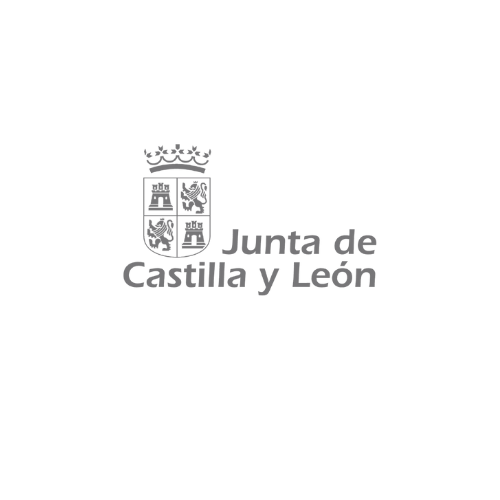 castilla y leon cidi