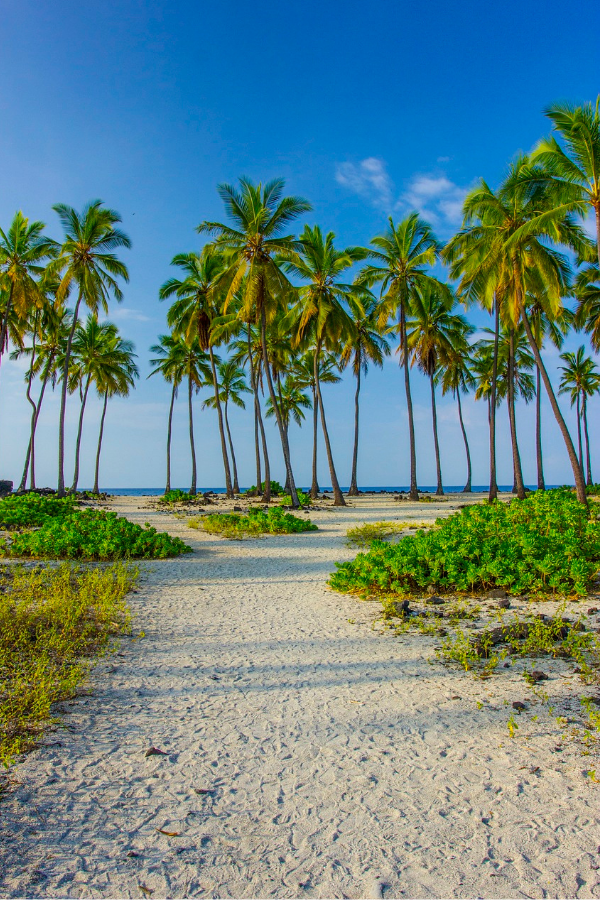 Curso-de-Ingles-en-Hawai